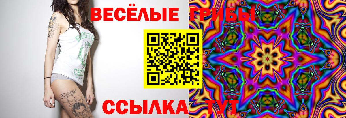 Псилоцибиновые грибы MAGIC MUSHROOMS  Вход с VPN  Спасск-Дальний 